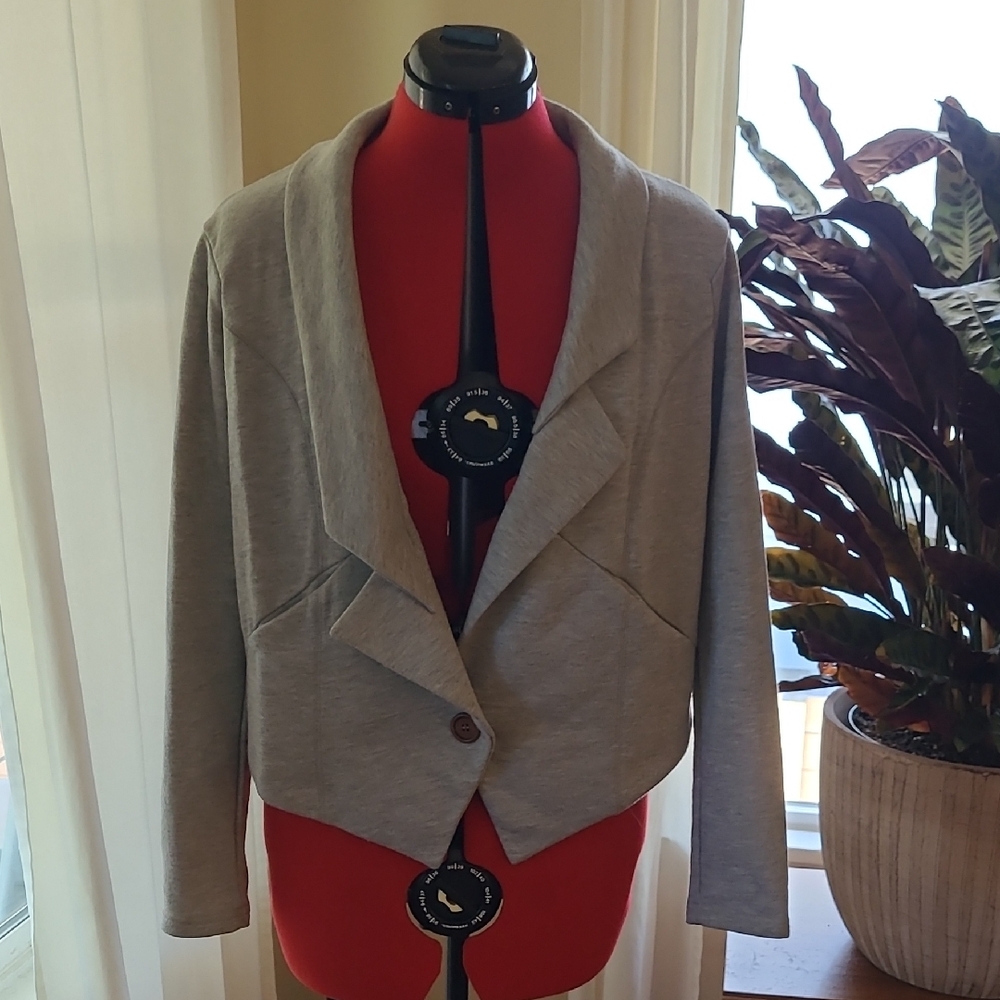 THML Asymmetrical Gray Blazer